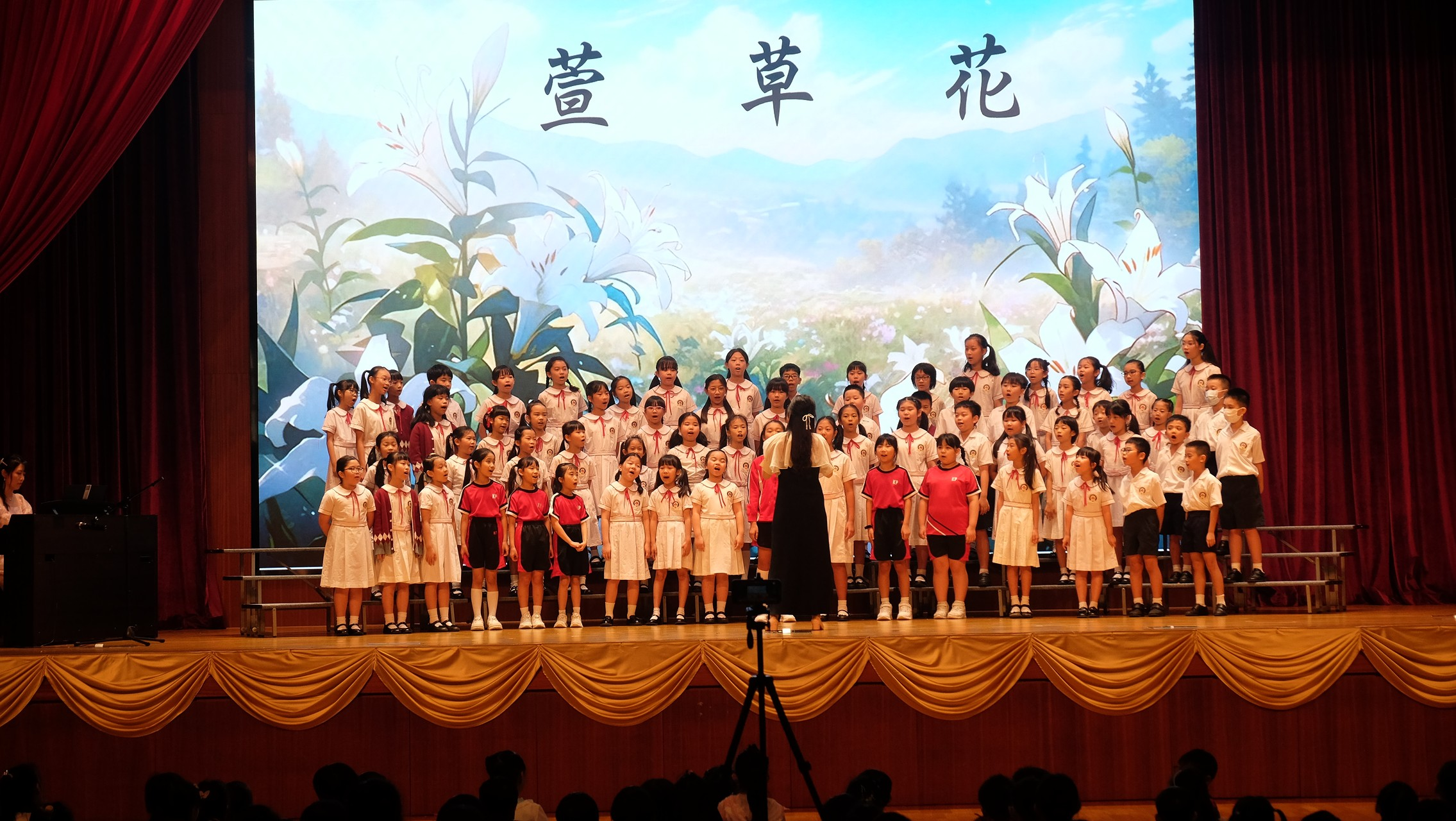 photo8